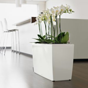 Bürobegrünung © Lechuza