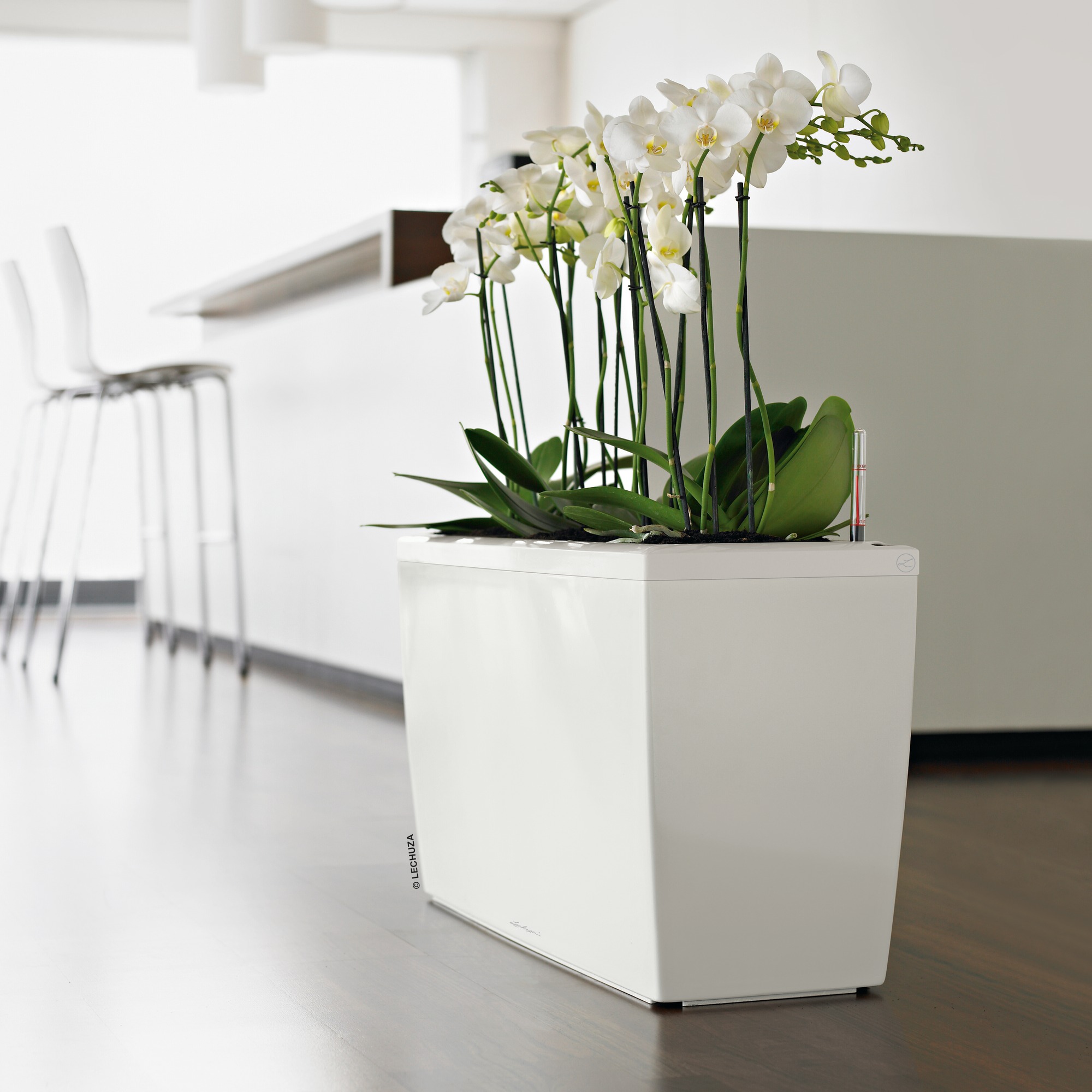 Bürobegrünung © Lechuza