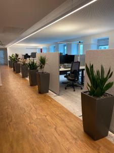 Leasingpflanzen Köln