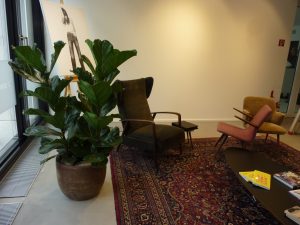 Büropflanzen Düsseldorf