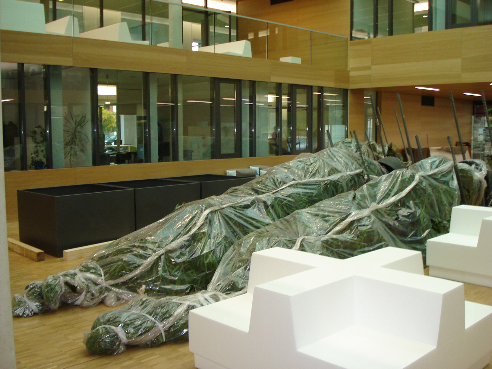 Lieferung Raumbegrünung in Köln