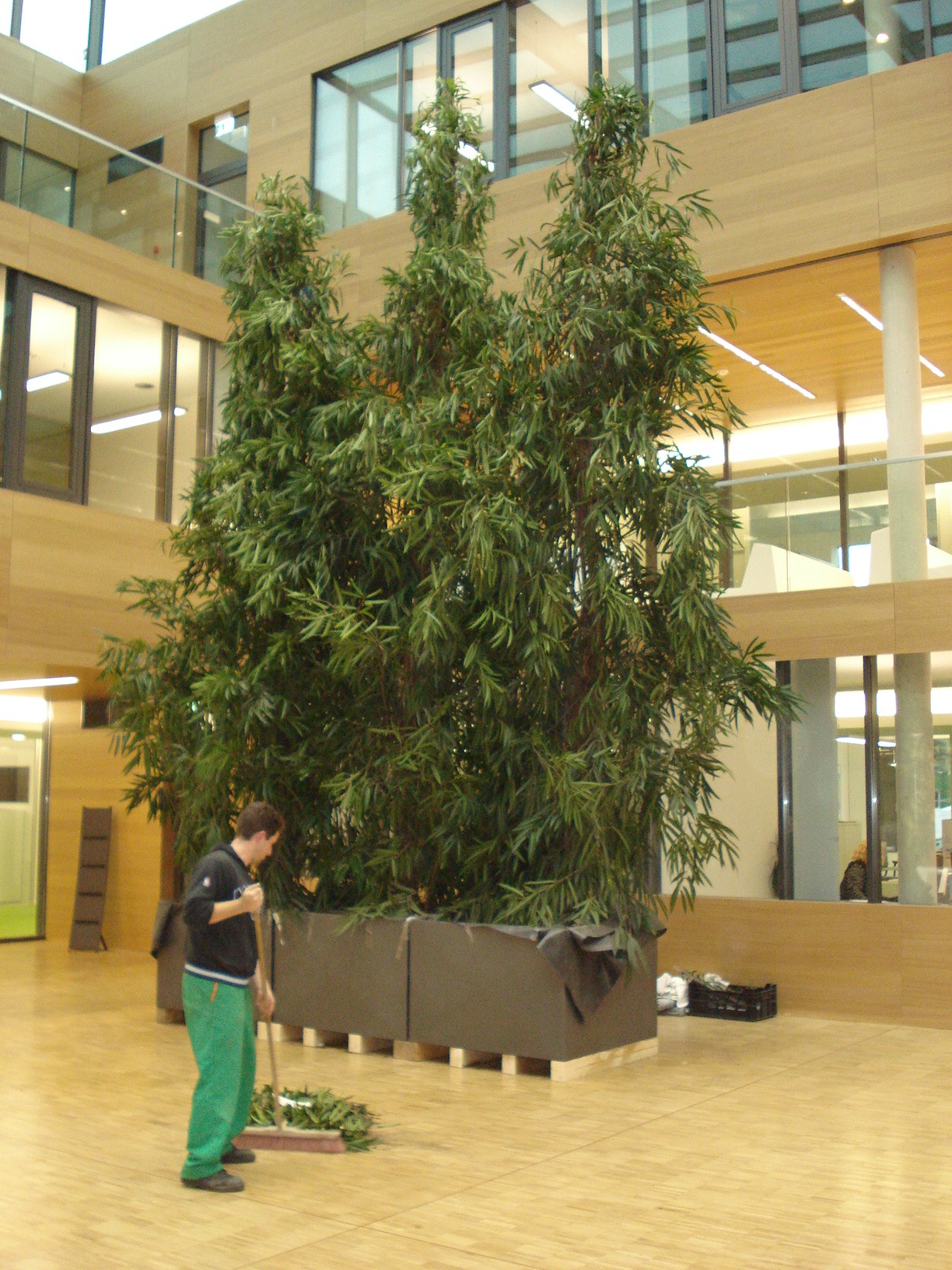 Raumbegrünung in Köln