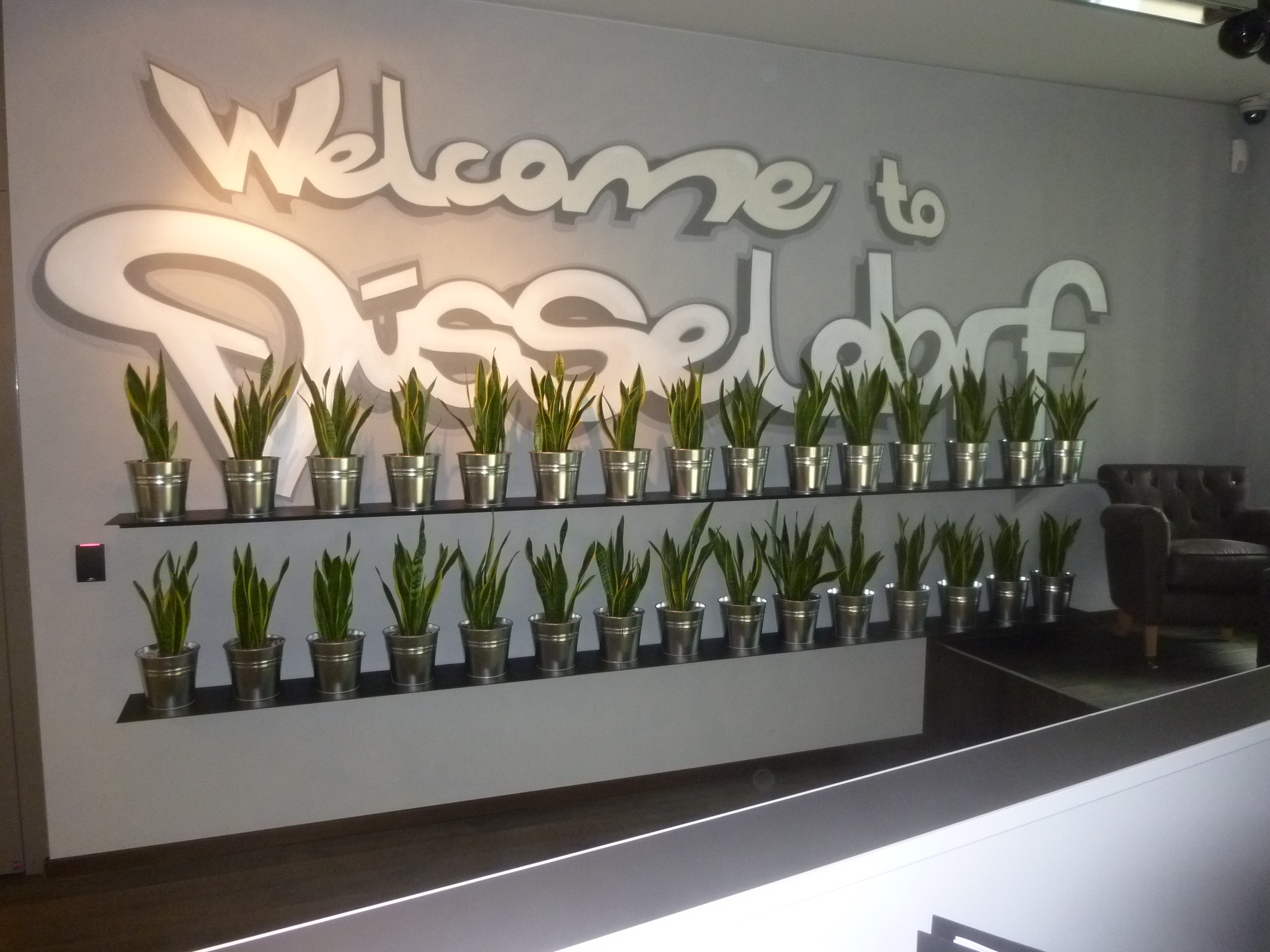 Bürobegrünung in Düsseldorf bei Google