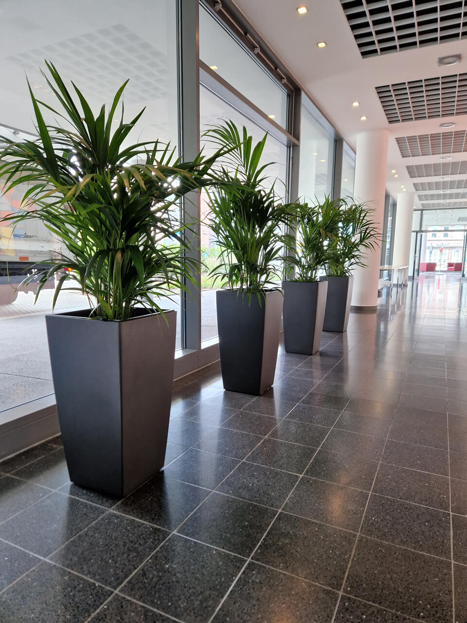 Bürobegrünung Köln