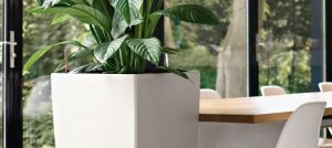 Event-Begrünung in Köln