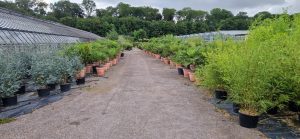 Systemgrün Außengelände